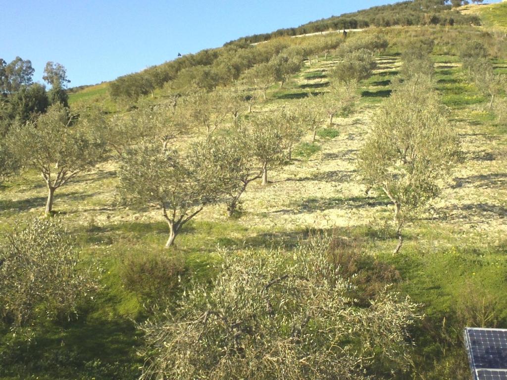 Agriturismo Due Ganee Villa Agrigento Exteriör bild